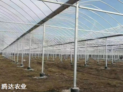 連棟大棚建造