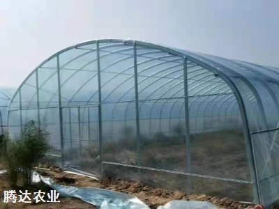 橢圓管拱棚