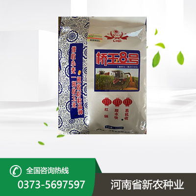 玉米种子