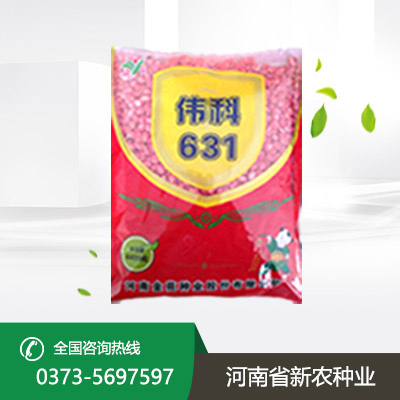 玉米种子