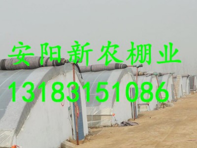 河南湯陰大棚工程