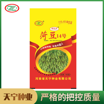 菏豆14號