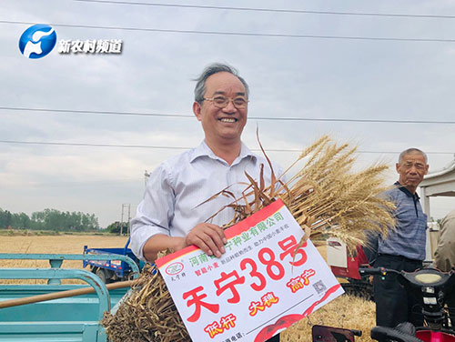 收獲現場