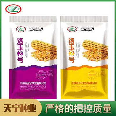 洛玉2号