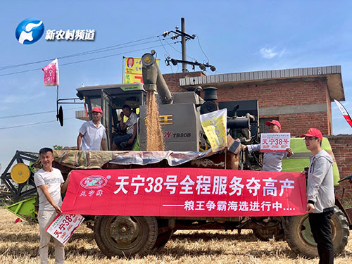 收獲現場