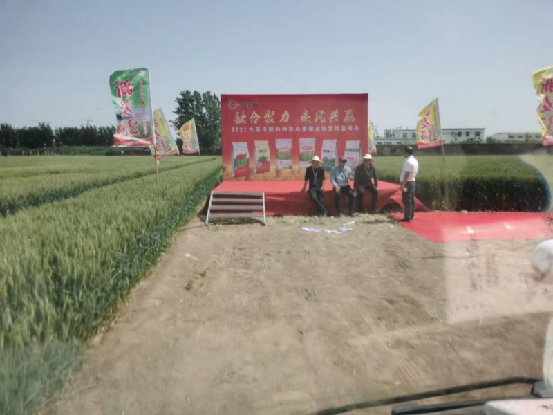 2021九圣禾新科种业小麦渠道联盟财富峰会