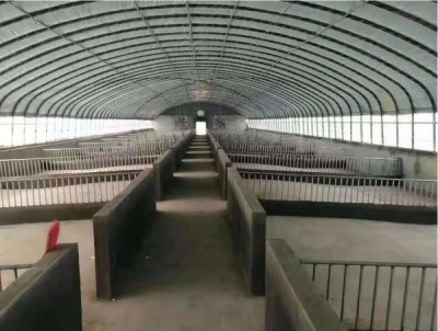 養殖大棚