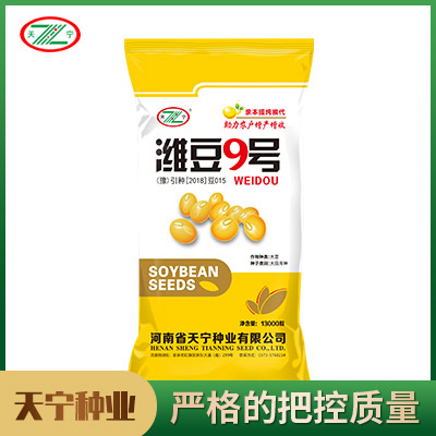 濰豆9號