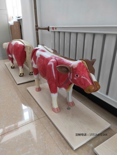 教学器材牛模型