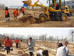 博乐体育|(中国)有限责任公司开展植树活动