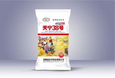 新濠天地xh3999：适合长江中下游地区的酿酒小麦种植高产法，建议收藏！