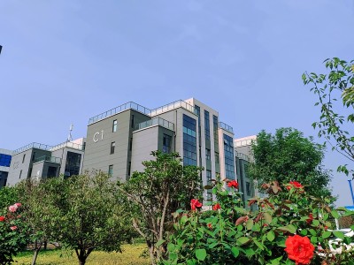 校园风光