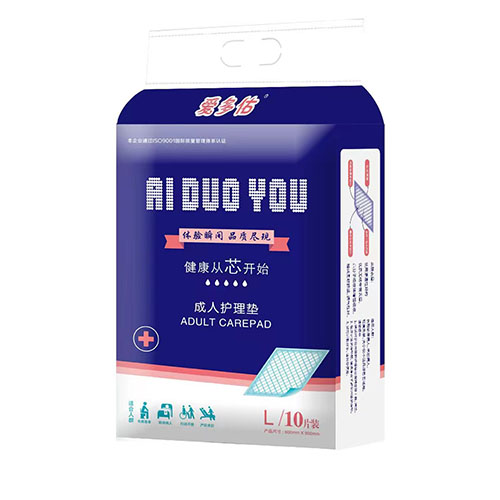 成人护理垫 L 10片装