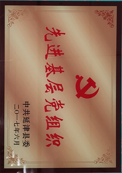 基层党组织