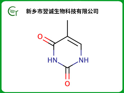 胸腺嘧啶