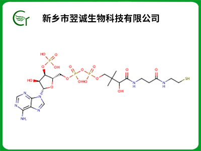 辅酶A