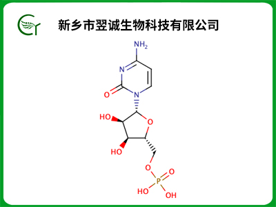 5'-胞苷酸