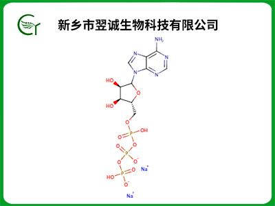 三磷酸腺苷二钠