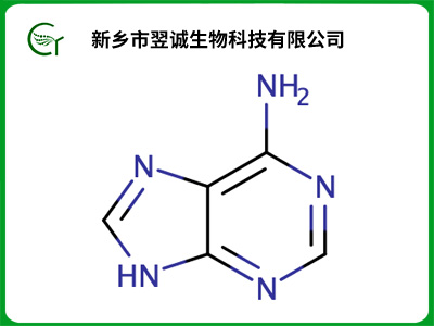 腺嘌呤