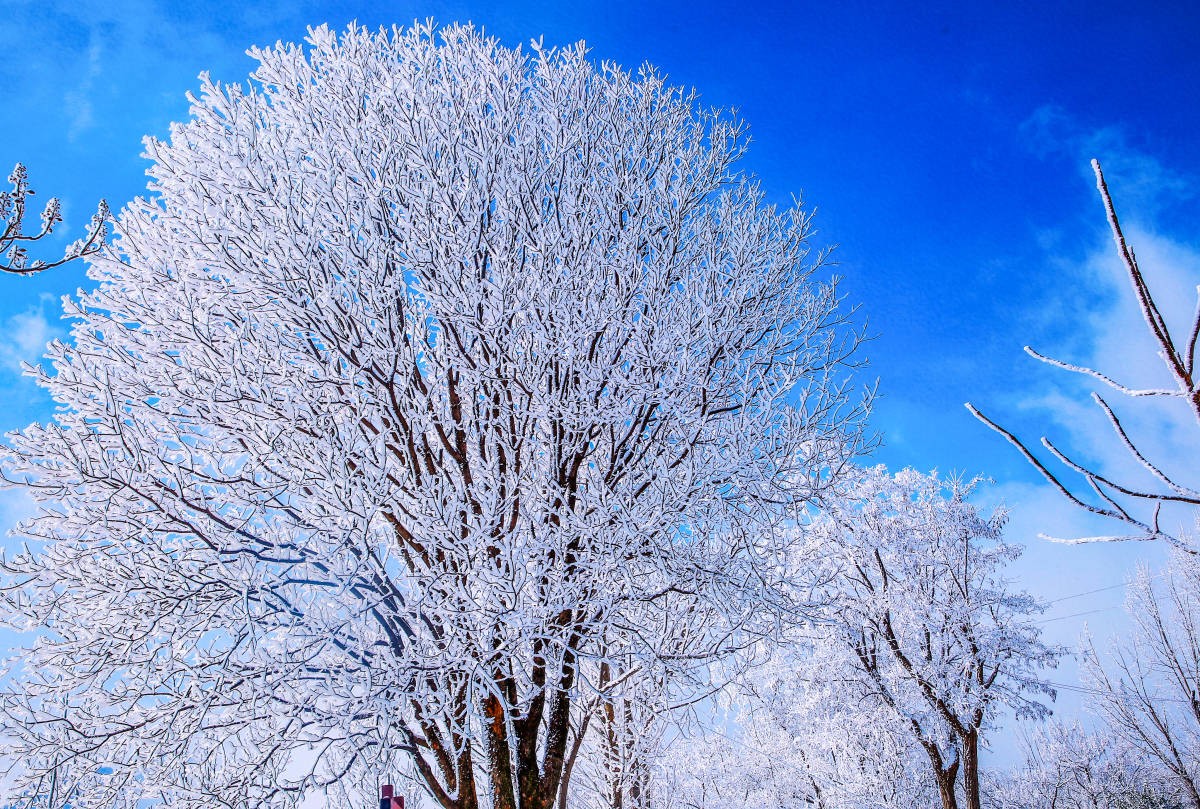 宝泉雪景