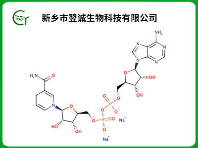 还原型β-烟酰胺腺嘌呤二核苷酸 (NADH)