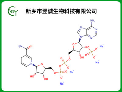 还原型β-烟酰胺腺嘌呤二核苷酸磷酸四钠盐 (NADPH)