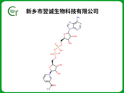 β-烟酰胺腺嘌呤二核苷酸 (NAD)