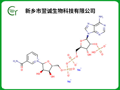 β-烟酰胺腺嘌呤二核苷酸磷酸二钠盐 (NADP)