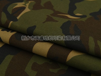 TC 80/20 21*16/120*60 230GSM 大雁 wild goose