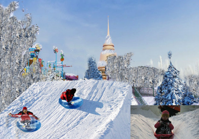 冬季景区、游乐园如何运营提效？新世纪游乐为您出招