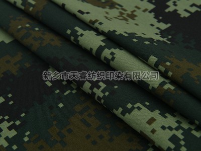 TC 80/20 30/2*14/67*53 200GSM 印花 Armed Police Summer
