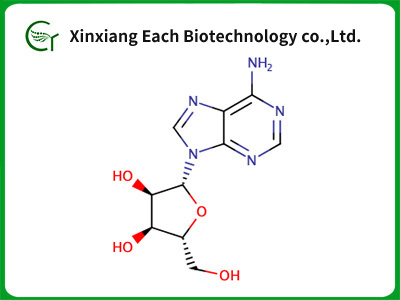 Adenosine