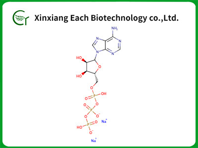 Adenosine5'-(tetrahydrogentriphosphate),sodiumsalt
