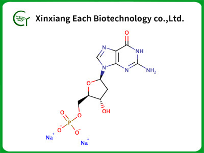 2-Deoxyguanosine5-monophosphate,disodiumsalt