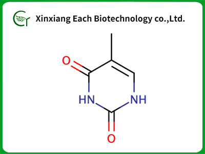 Thymine