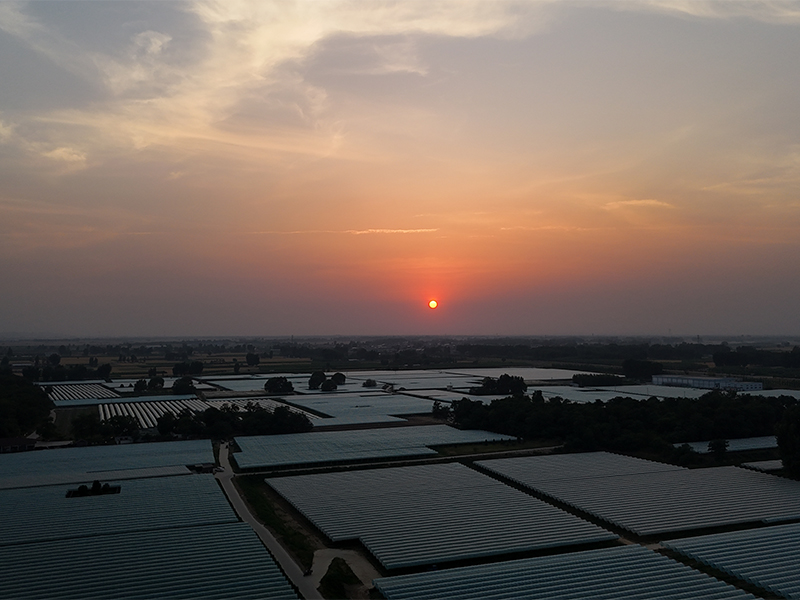 田园风采