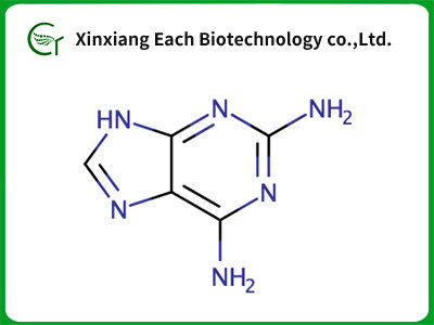 2,6-Diaminopurine