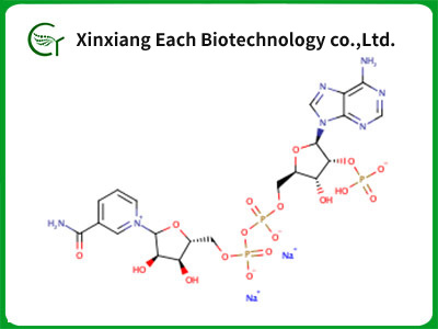 NADP, Disodium Salt