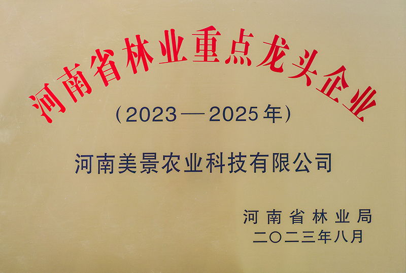 河南省林业重点龙头企业