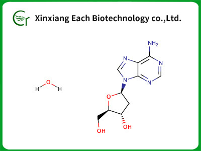 2'-Deoxyadenosine monohydrate