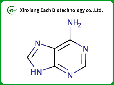 6-Aminopurine