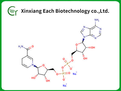 NADH, disodium salt