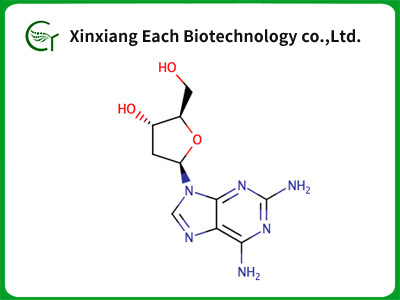 2,6-Diaminopurine2'-deoxyriboside