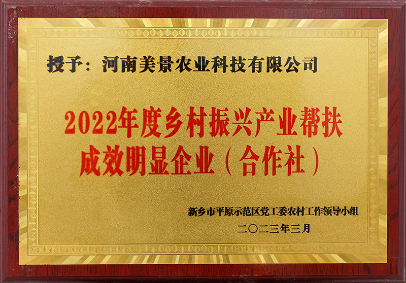 2022年度乡村振兴产业帮扶成效明显企业
