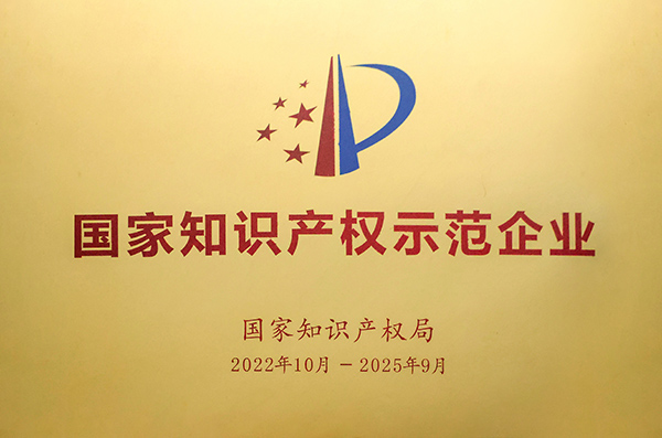 2022年国家知识产权示范企业