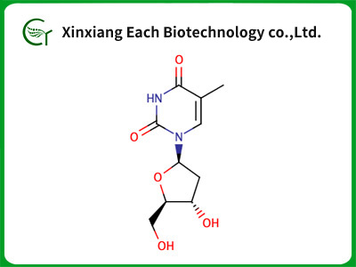 Thymidine