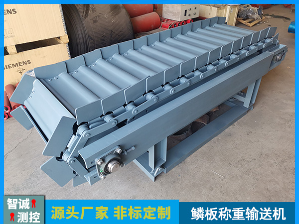 湖南鳞板称重给料机