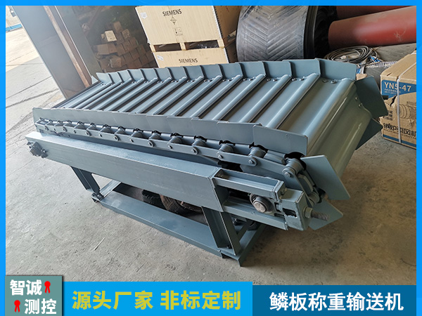 湖南鳞板称重输送机