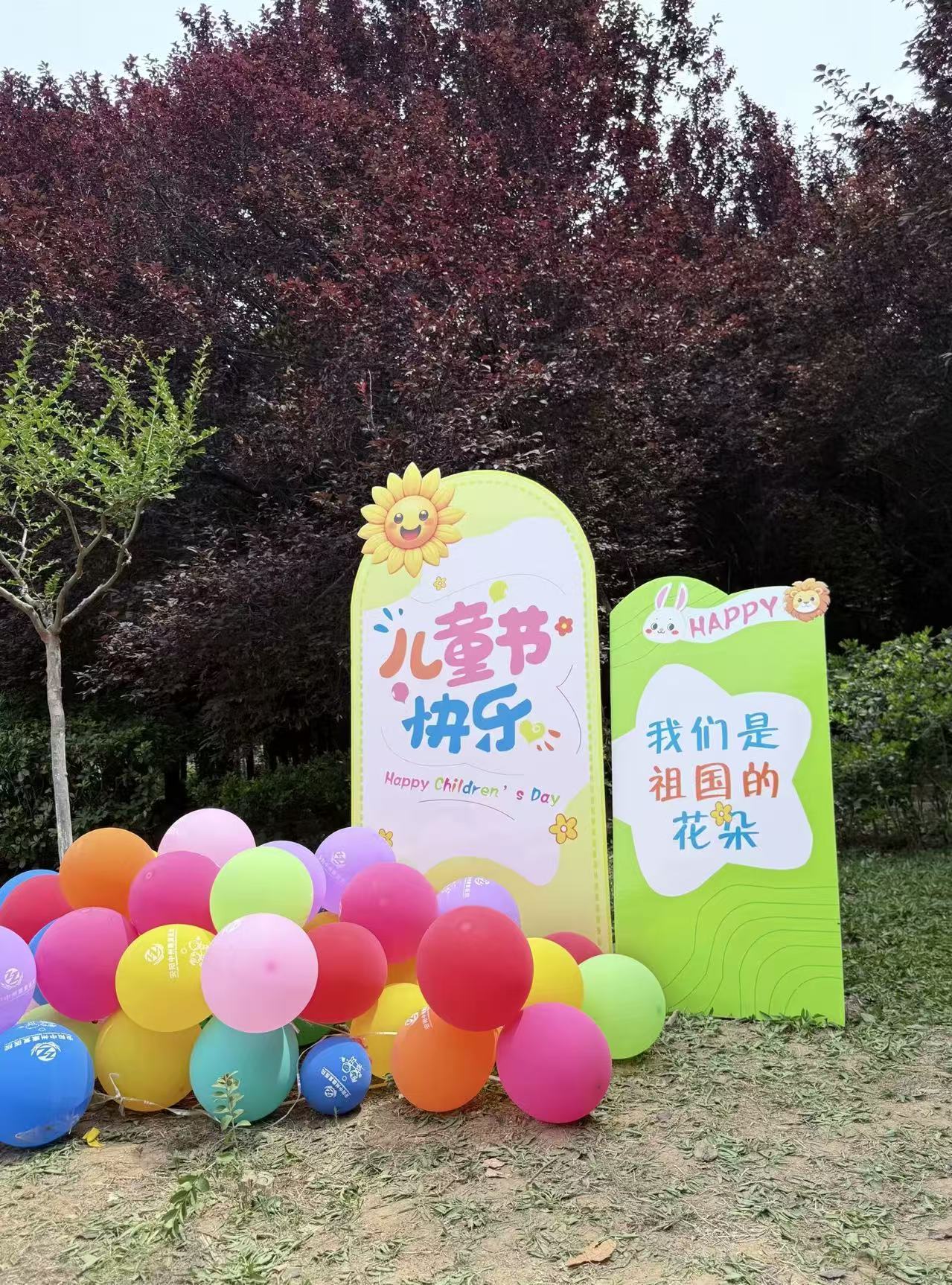 微信图片_20250531091307