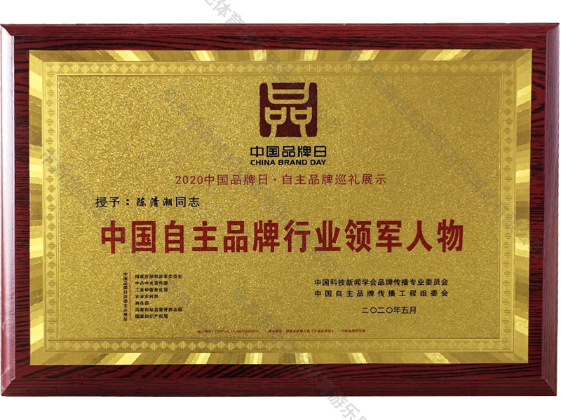 中国自主品牌行业领军人物